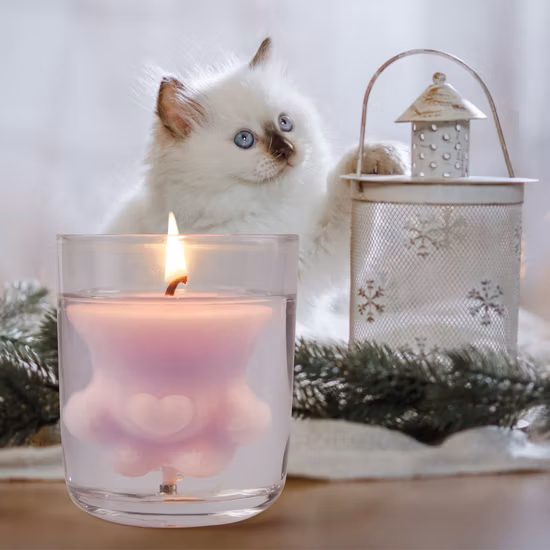 Private Label China Manufacturer 5 Oz Scented Glass Soy Wax Candle Gift Candle for Home Decor