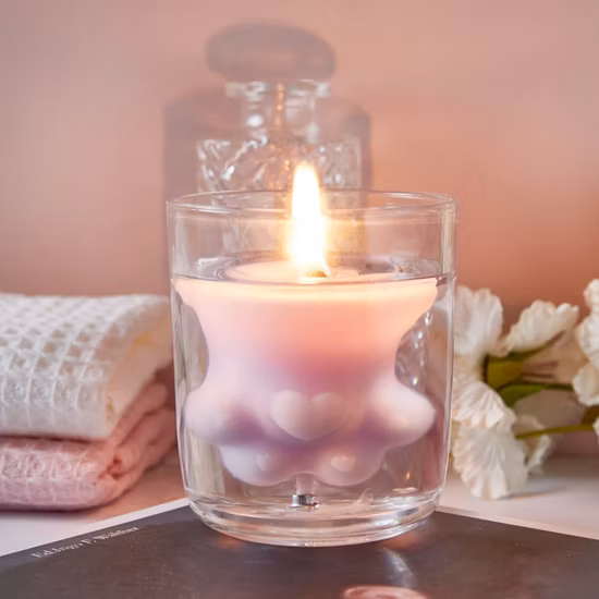 Private Label China Manufacturer 5 Oz Scented Glass Soy Wax Candle Gift Candle for Home Decor