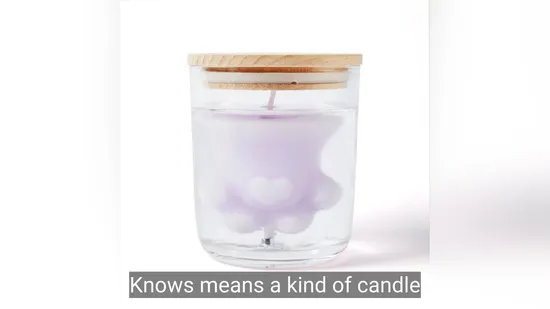 Private Label China Manufacturer 5 Oz Scented Glass Soy Wax Candle Gift Candle for Home Decor